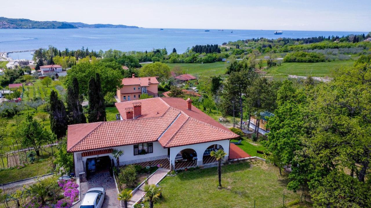 Active Chillax Oasis Apartments Ankaran Zewnętrze zdjęcie