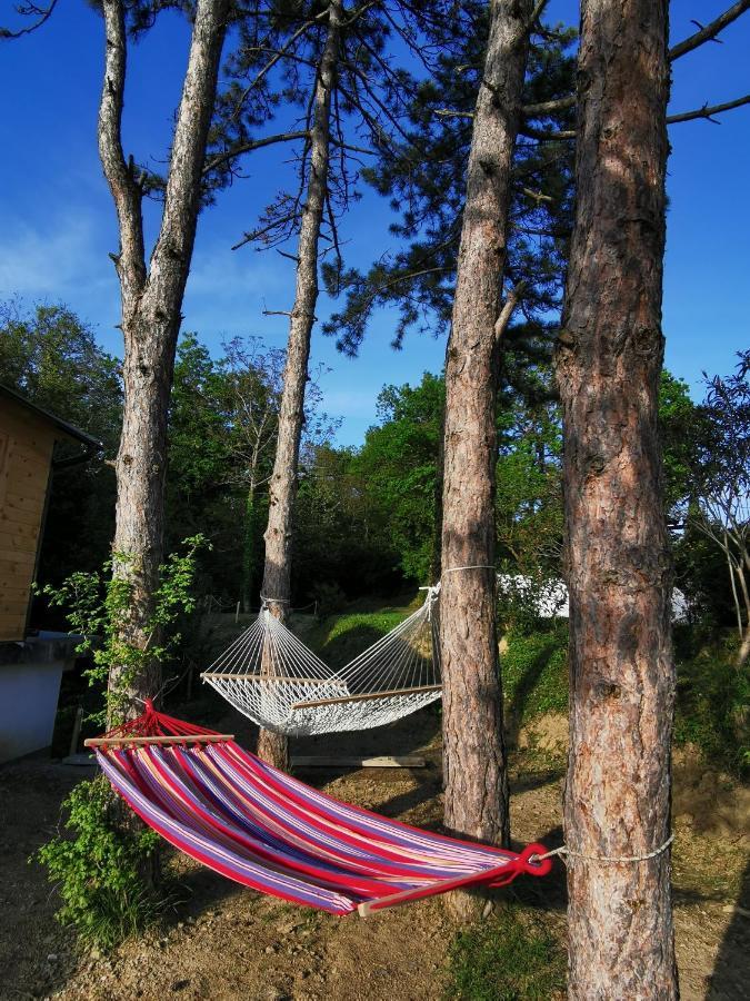 Active Chillax Oasis Apartments Ankaran Zewnętrze zdjęcie