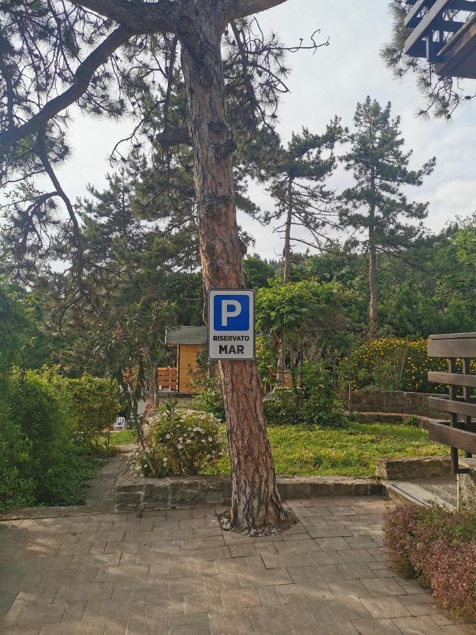 Active Chillax Oasis Apartments Ankaran Zewnętrze zdjęcie