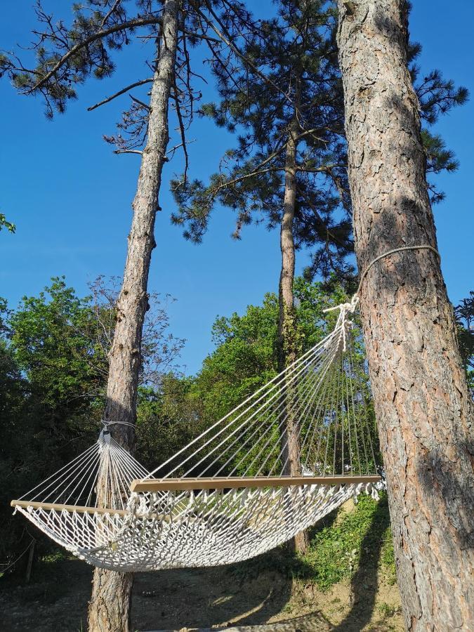 Active Chillax Oasis Apartments Ankaran Zewnętrze zdjęcie
